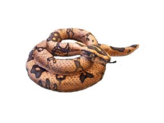 Obrázek z Had krajta hnědá plyš 200cm (55) 